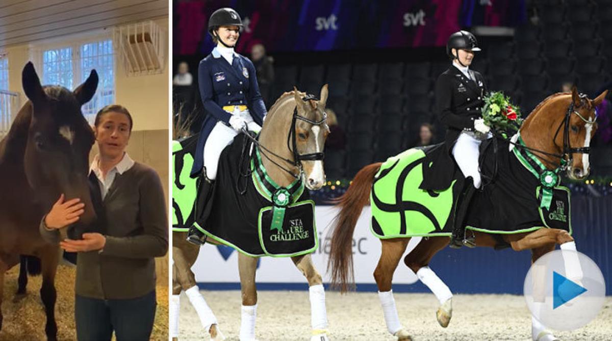 <p>Lövsta tar sin satsning Lövsta Future Challenge för unga dressyrhästar till USA och Wellington. Det blir åtta kvaltävlingar och en final.