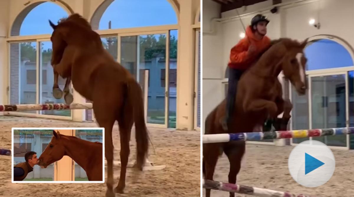<p>Den italienska hoppryttaren och natural horsemanship-instruktören Giorgio Pagliaro visar i det här klippet upp hur han ibland löshoppar sina hästar.