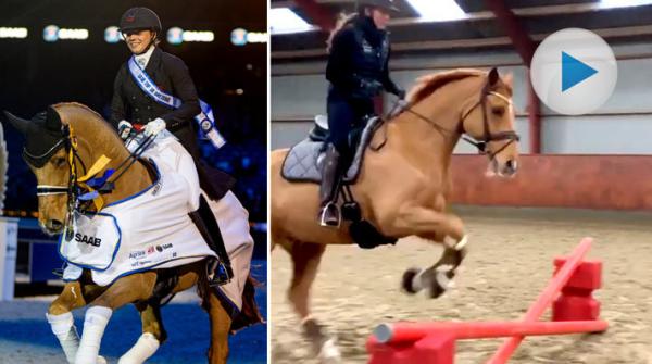 <p>För en vecka sedan vann Cathrine Dufour och Atterupgaards Cassidy Saab Top 10 i Friends. Väl hemma i Danmark igen har de ägnat sig åt – hoppning!