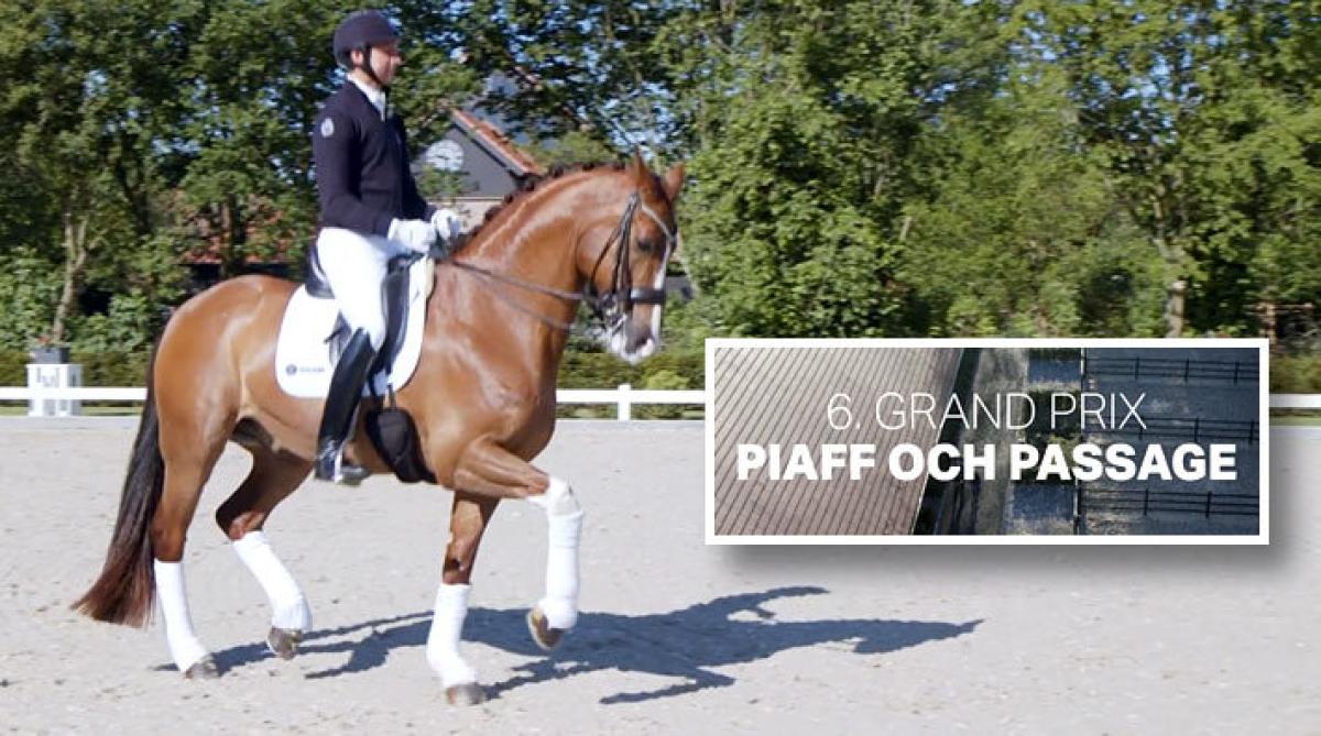 Vi har nått fram till det näst sista avsnittet i avslutande säsongen av Patrik Kittels filmade dressyrskola. Här visar han arbetet med piaff och passage.