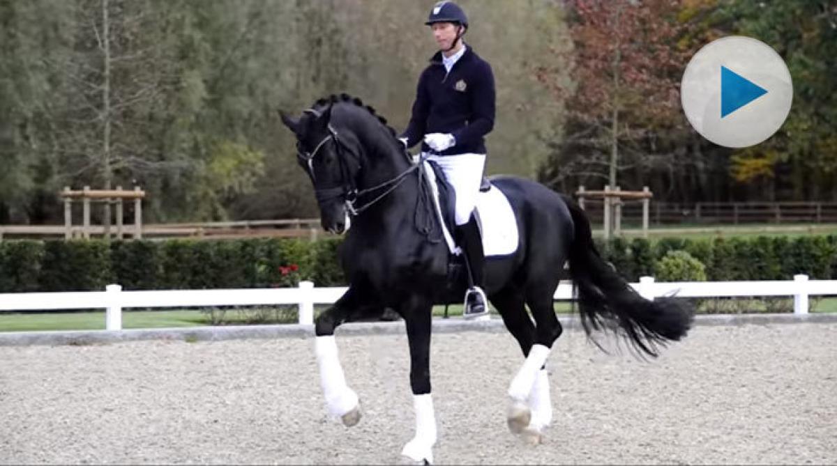 Hingsten Sezuan vann unghäst-VM tre gånger och har nu hunnit fylla tio år. Numera är hingsten i full gång med sin träning hos sin ryttare Patrik Kittel.