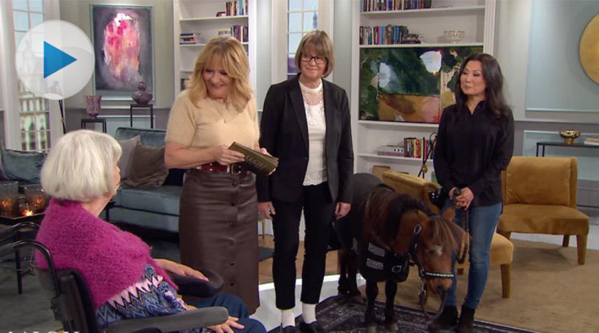 <p>Miniatyrhästen Akilles är nominerad till Årets vårdhjälte 2019. I veckan var han och matte Evelyn Banffy på besök i studion hos Malou von Sivers.