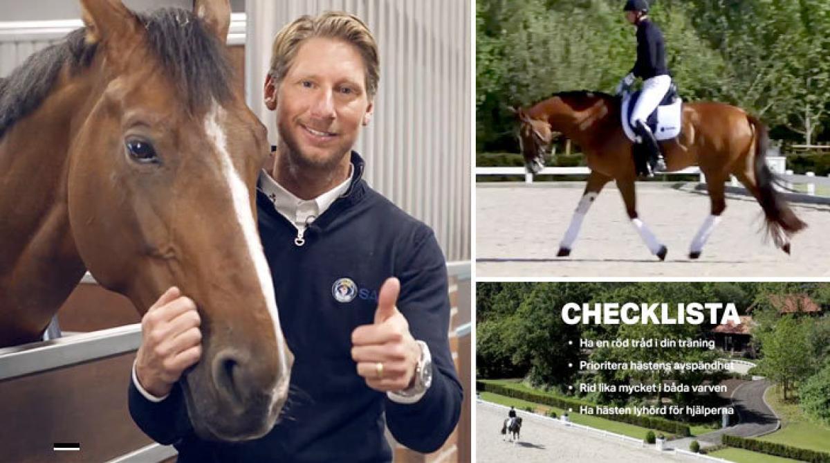 Det har äntligen blivit dags för den fjärde säsongen av Patrik Kittels utbildningsserie. Se hur han kontrollerar att grunderna funkar på Grand Prix-hästen.