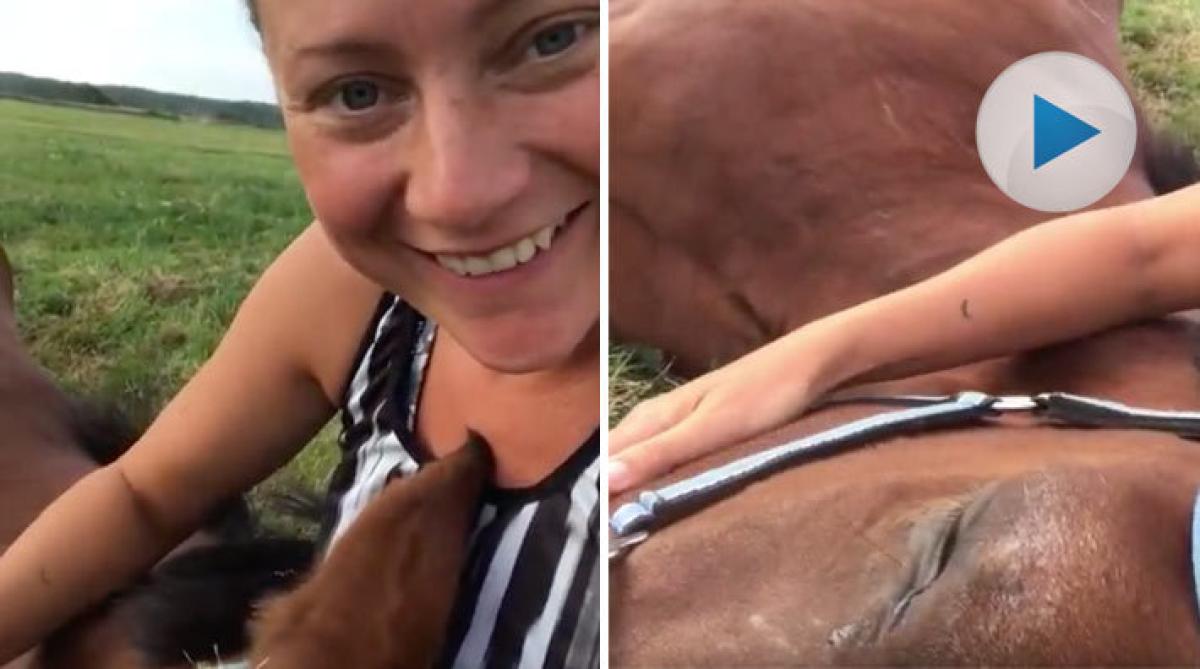 <p>Den 22-åriga New Forest-ponnyn Pedro bor hos Johanna och hennes dotter Melina. Och det bästa han vet är att ta sovmorgon i sommarhagen.