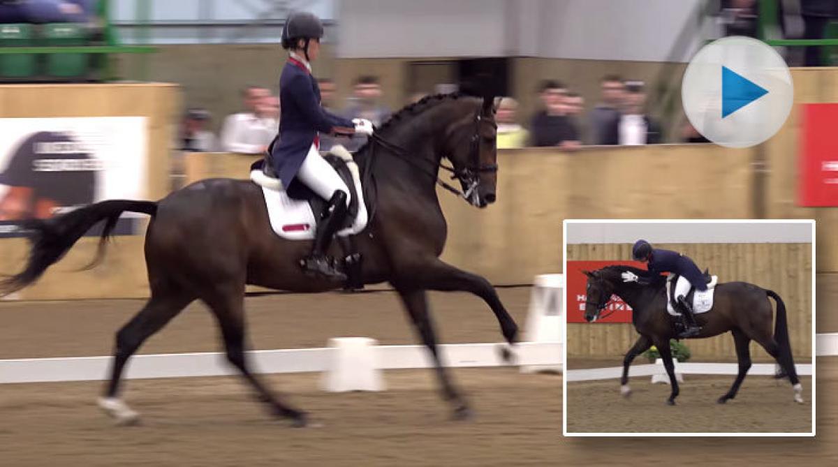 Under Hartpury Festival of Dressage i helgen imponerade Charlotte Dujardin stort, detta tillsammans med tioåriga superstoet Mount St John Freestyle.