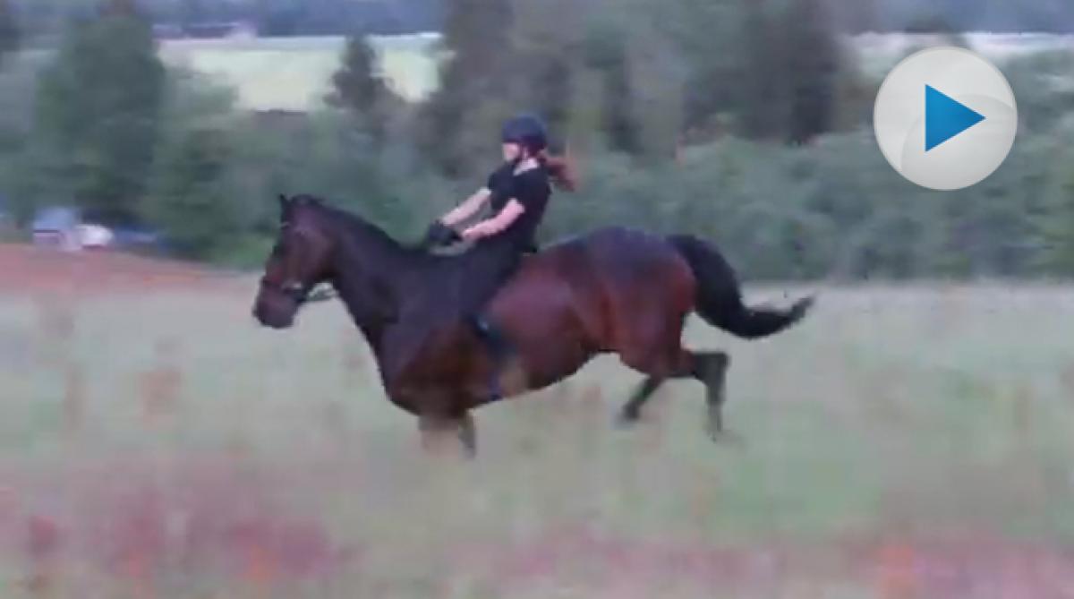 <p><span>Dressyrhästen Casanova tränas allsidigt och när Matilda Runnholm sitter upp är det ofta utan sadel. Hennes fina balans gör att hon sitter kvar.