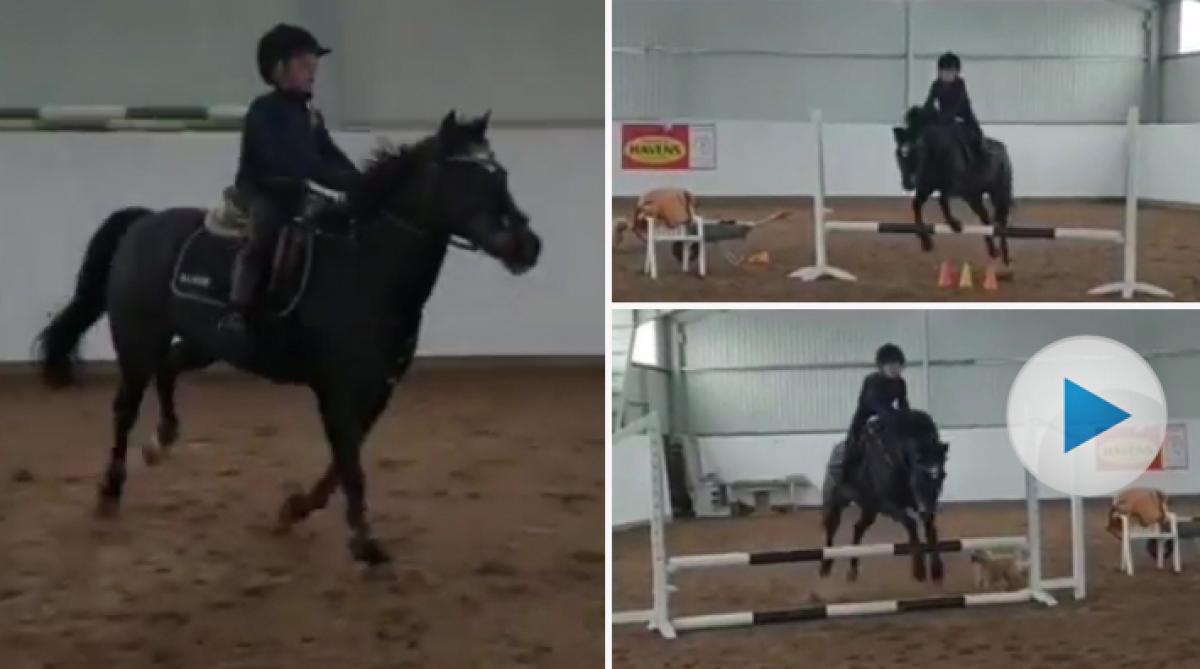 Ridning är det stora fritidsintresset för Anna Ravik och hennes döttrar. De har länge försökt få med lillebror Gunnar till stallet, och nu har de lyckats.