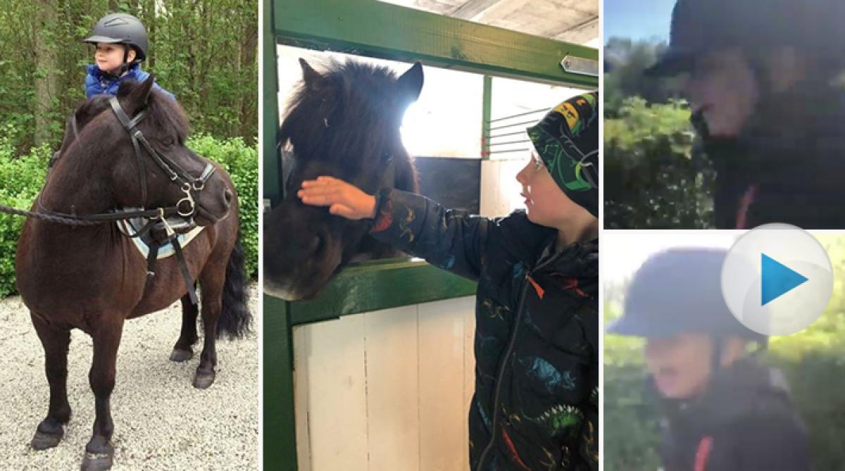 Phoenix, tre år, älskar att rida och i påskas var påskharen extra snäll och kom med en ponny. Nioårige shettisen Knyttes Minttu är nu hans bästa vän.