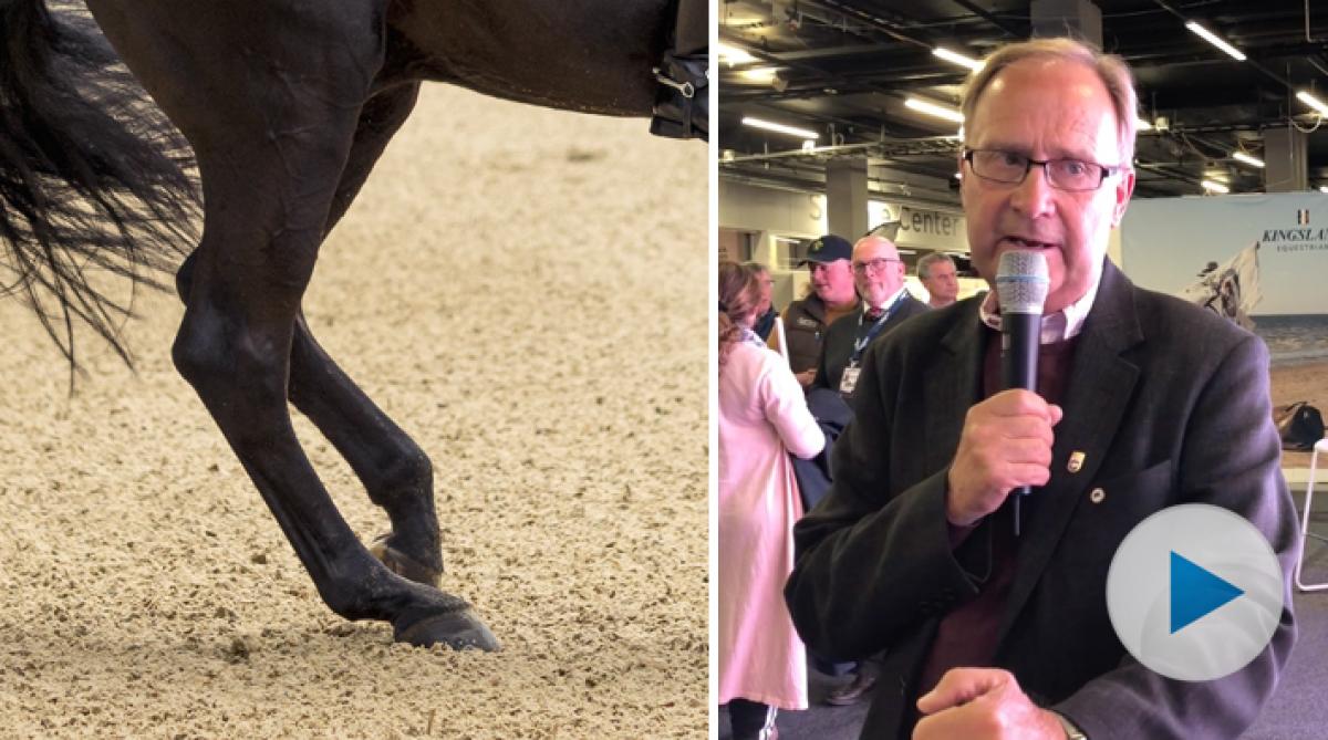 Under Eurohorse intervjuade vi Bo Jenå om vad som krävs av en häst för att nå toppen. Bland annat är ridbarheten oerhört viktig.