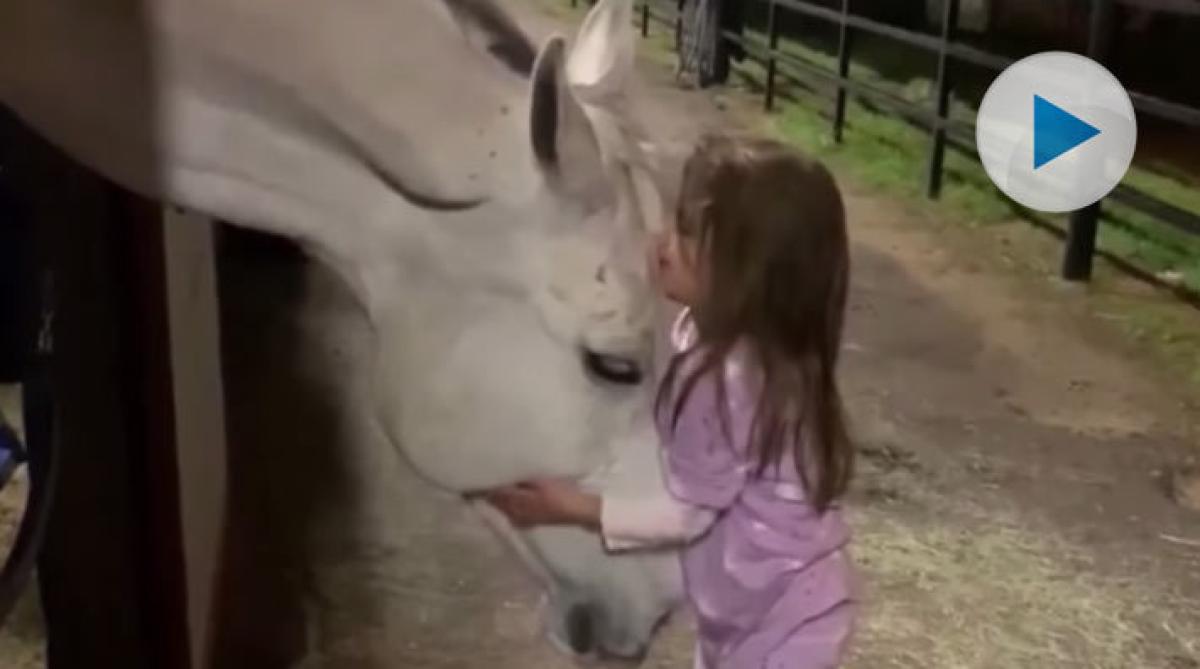 <p>Lilly Rae är en liten tjej från Texas som älskar hästar och älskas tillbaka. Mötet med en häst avsevärt större än henne har blivit en viral succé.