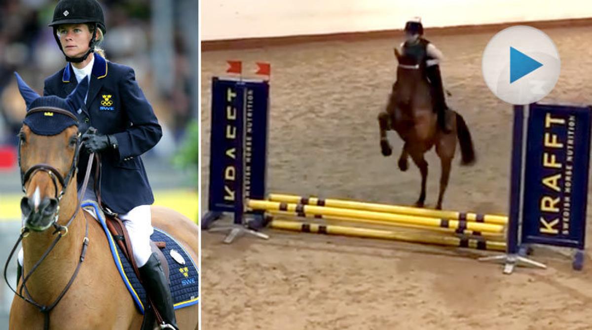 Se tävlingsdebuten för “Sparvens” barnbarn – tillika “Flippans” barnbarnsbarn (!)