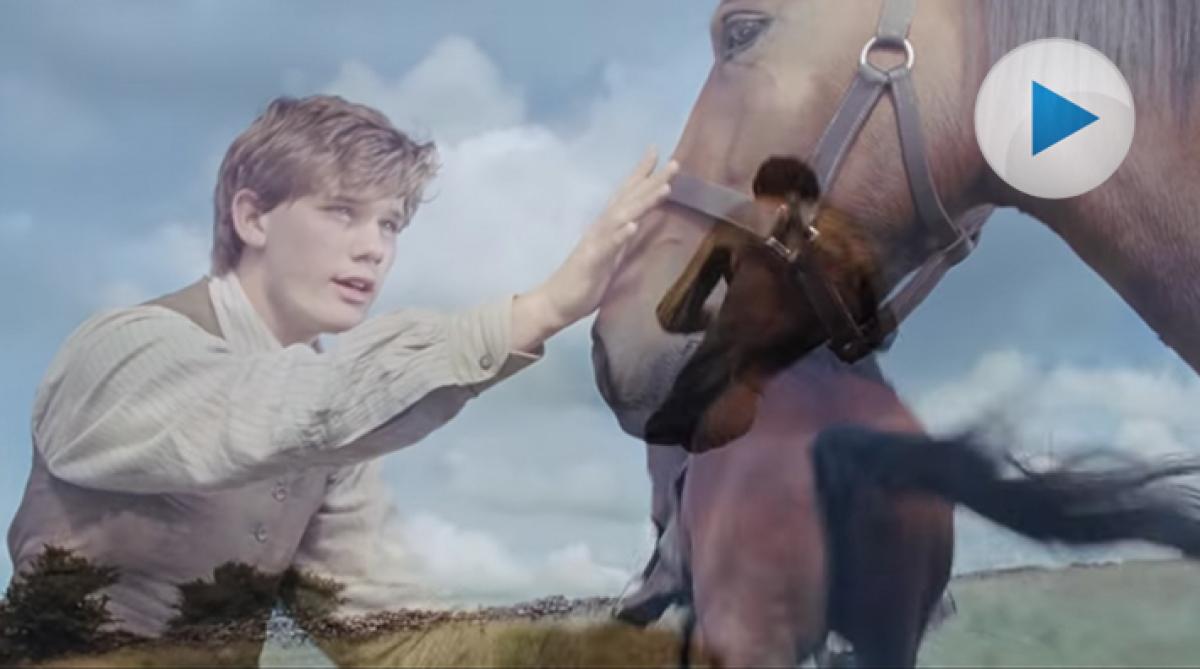 Hästigt filmtips på 100-årsdagen för första världskrigets slut