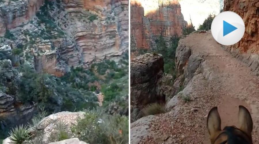 Smala stigar och extrema höjder – det är vad en ridtur i Grand Canyon bjuder på. En hisnande upplevelse som kan uppfattas olika av olika personer.