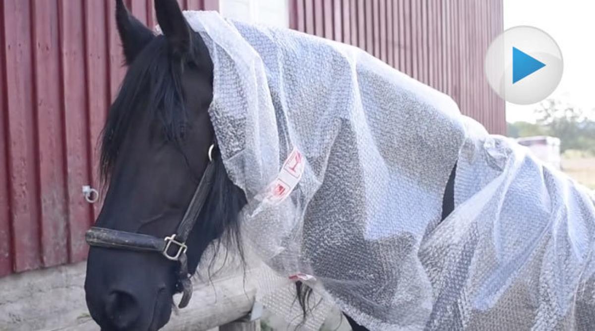Bubbelplast som skydd mot oförutsedda utgifter
