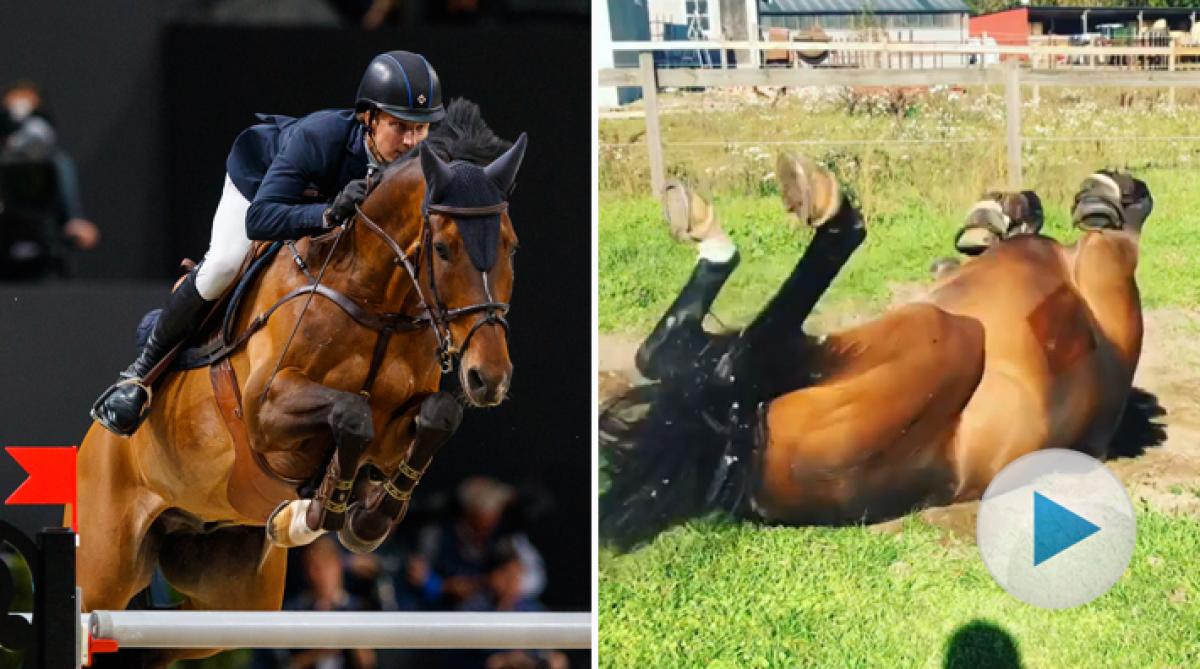 "När du vinner världscupen får du göra precis vad du vill"
