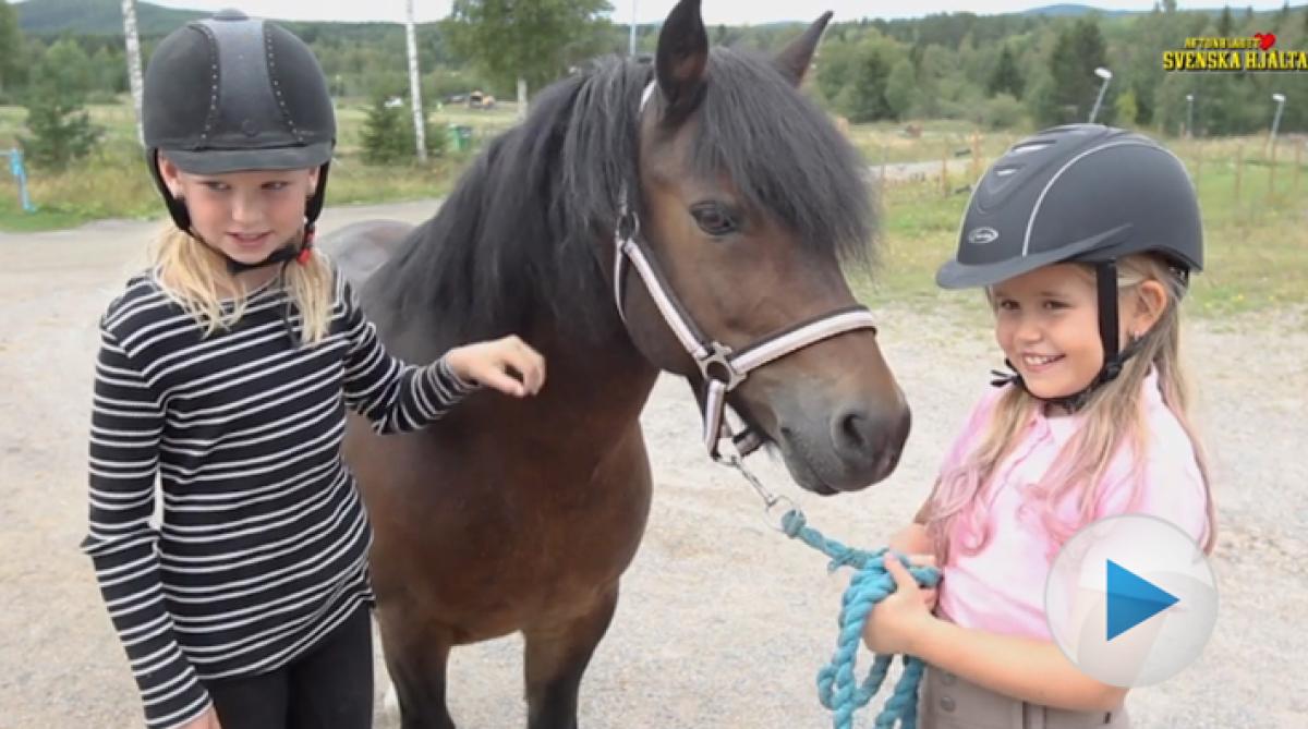 Ponnyn Storm är en riktig hjälte – hjälpte Stina, nio år, ur depressionen: ”Det var supertufft”