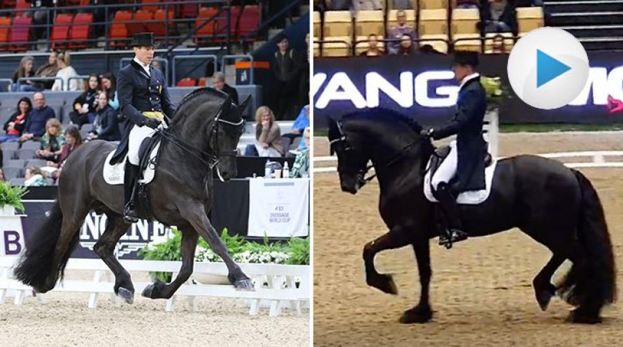 Vid de femstjärniga tävlingarna i Herning tog Marc Pether Spahn och Elias 494 en tredjeplats i küren. Resultatet ledde dessutom till ett nytt rekord.