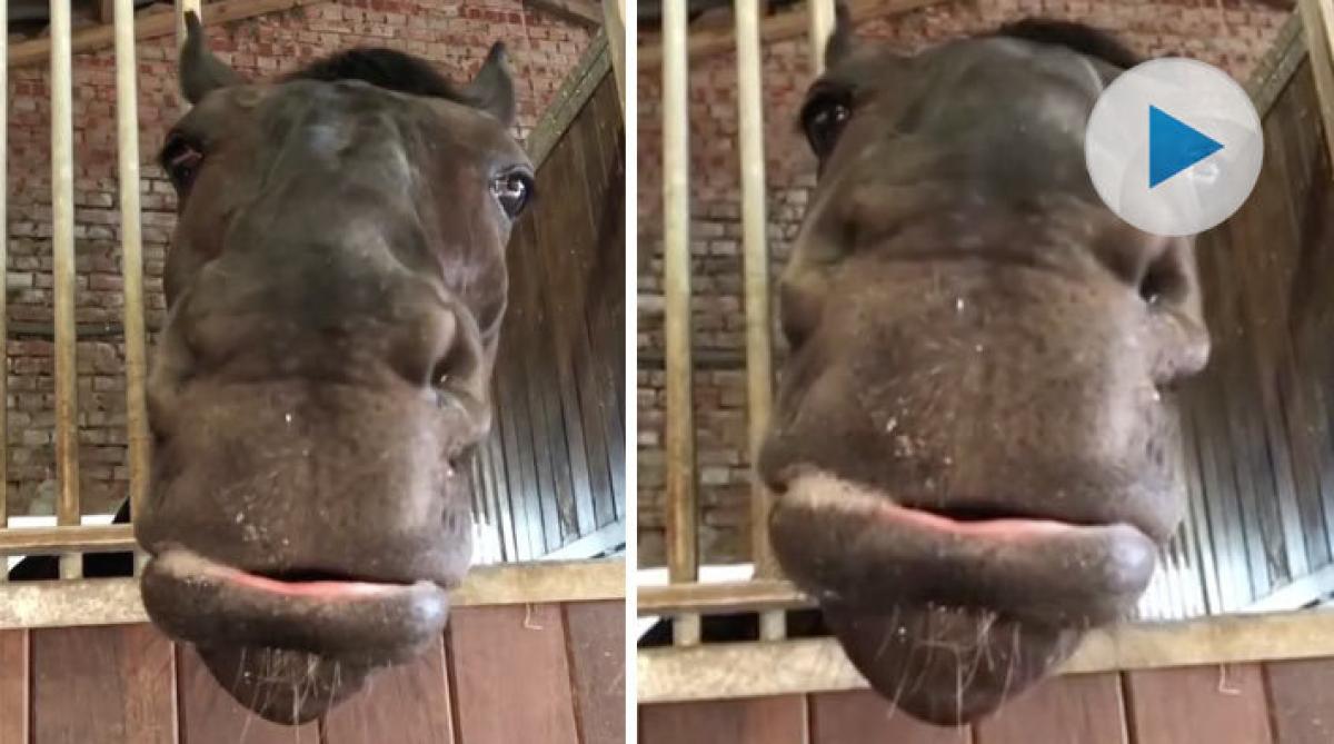 "Ursäkta, ska du gå upp snart?"