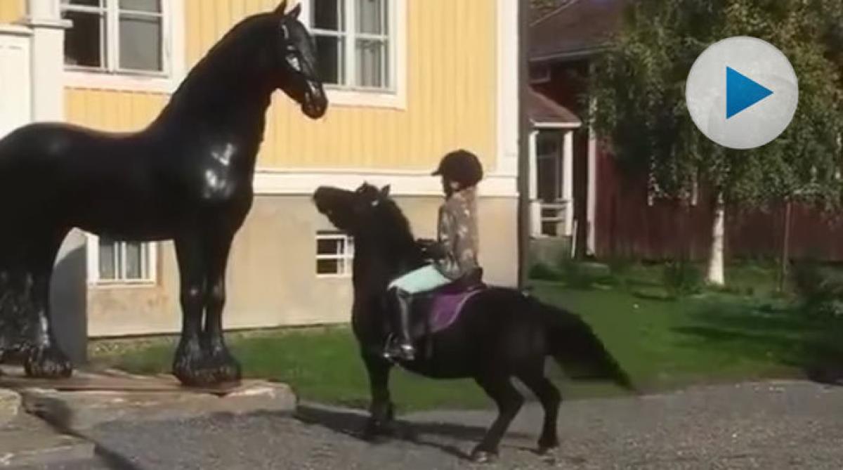 Kaxig herre i små skor