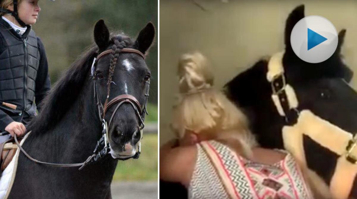 Se Emmys lyckorus när systern har köpt tillbaka älsklingsponnyn: "Jag är helt i chock!"
