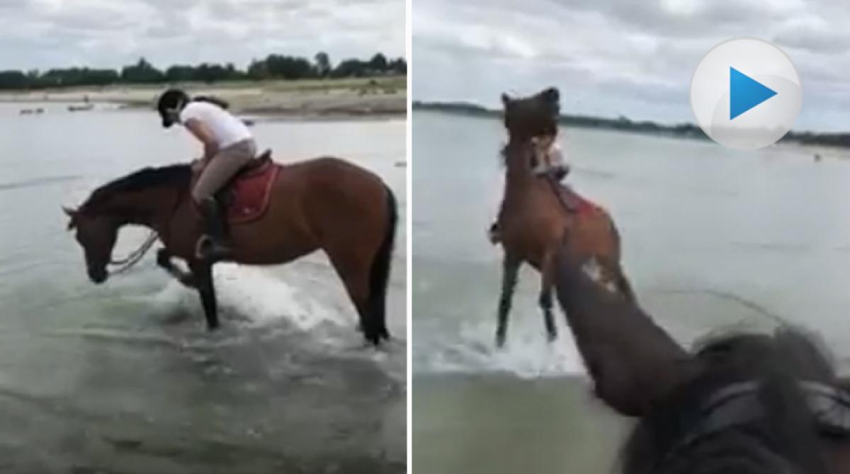 När du får ett ofrivilligt bad: ”En liten krabba nöp henne i tån”