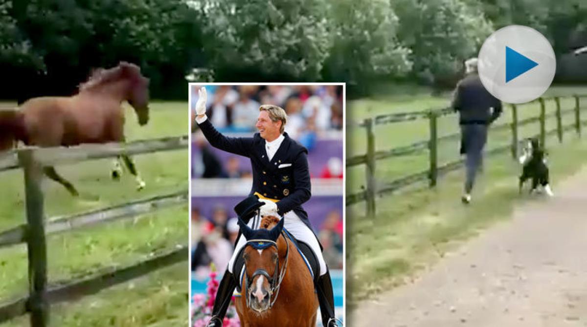 Pensionären Scandic busar med husse Patrik Kittel i hagen