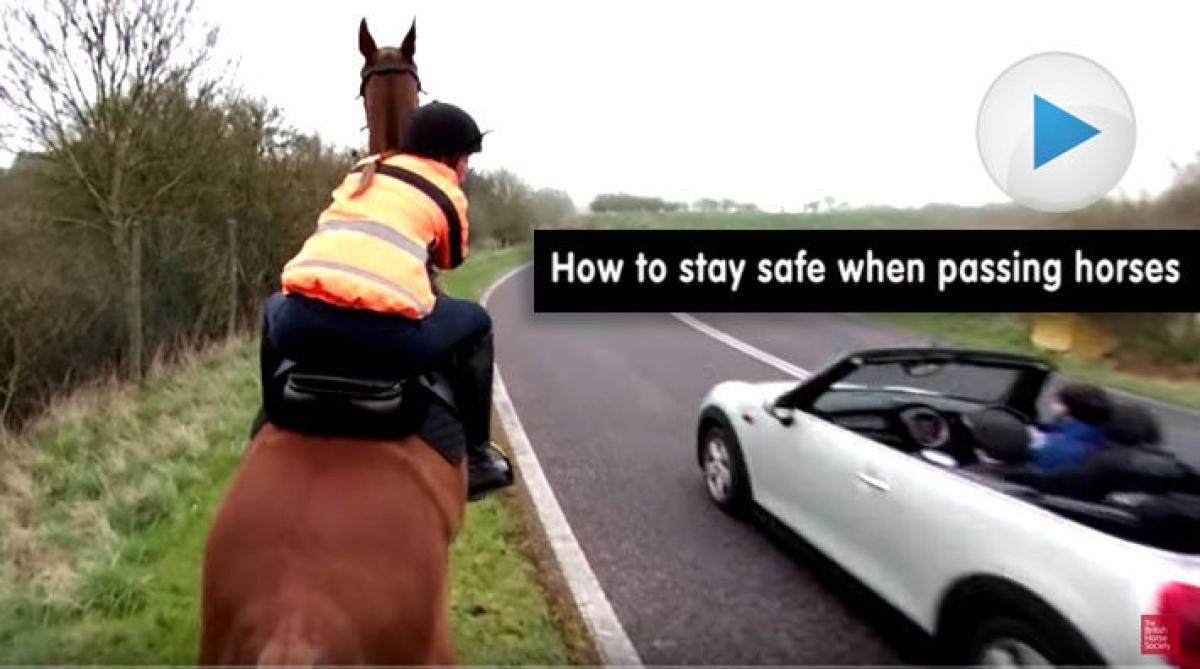 Ridsportförbundets kampanj ska få bilister att sakta ner