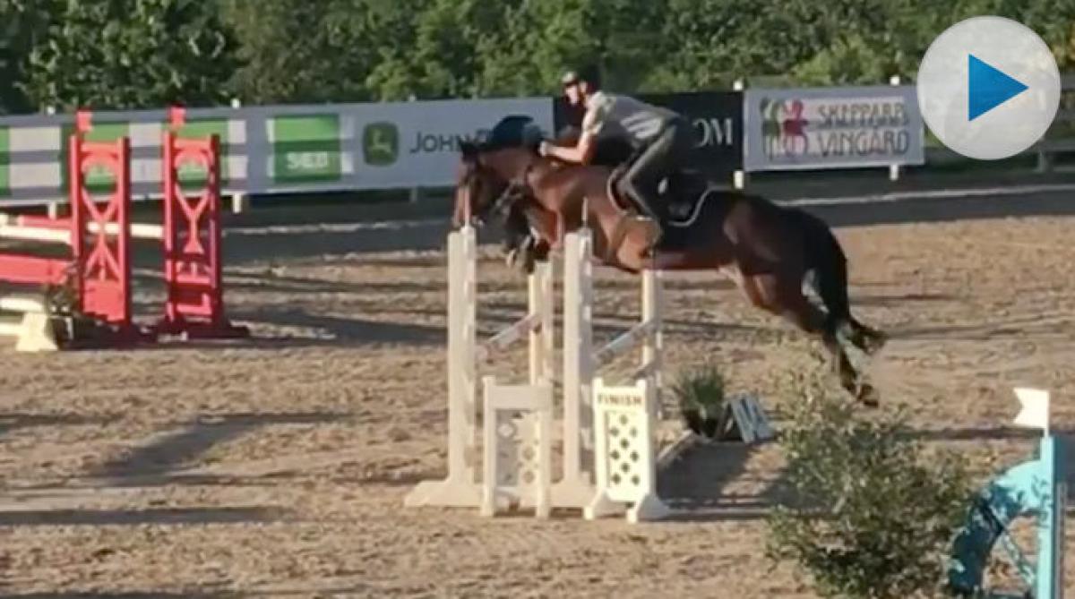 Peder och All In hoppar igen