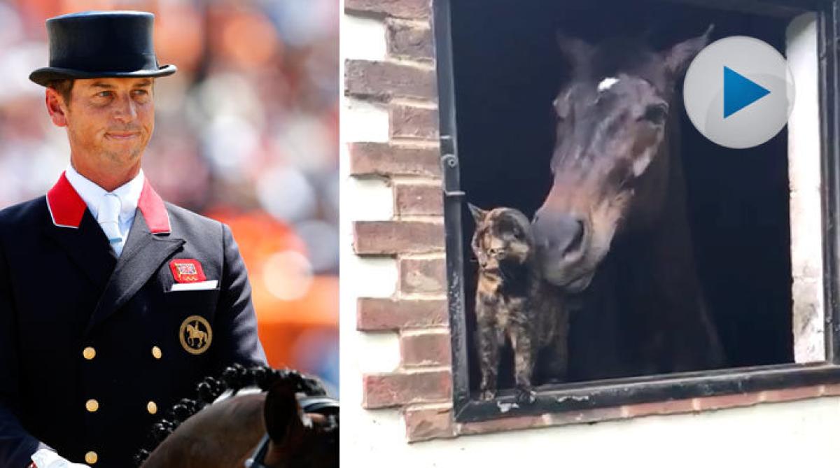 Carl Hester dumpad av nya dressyrlöftet – för stallkatten