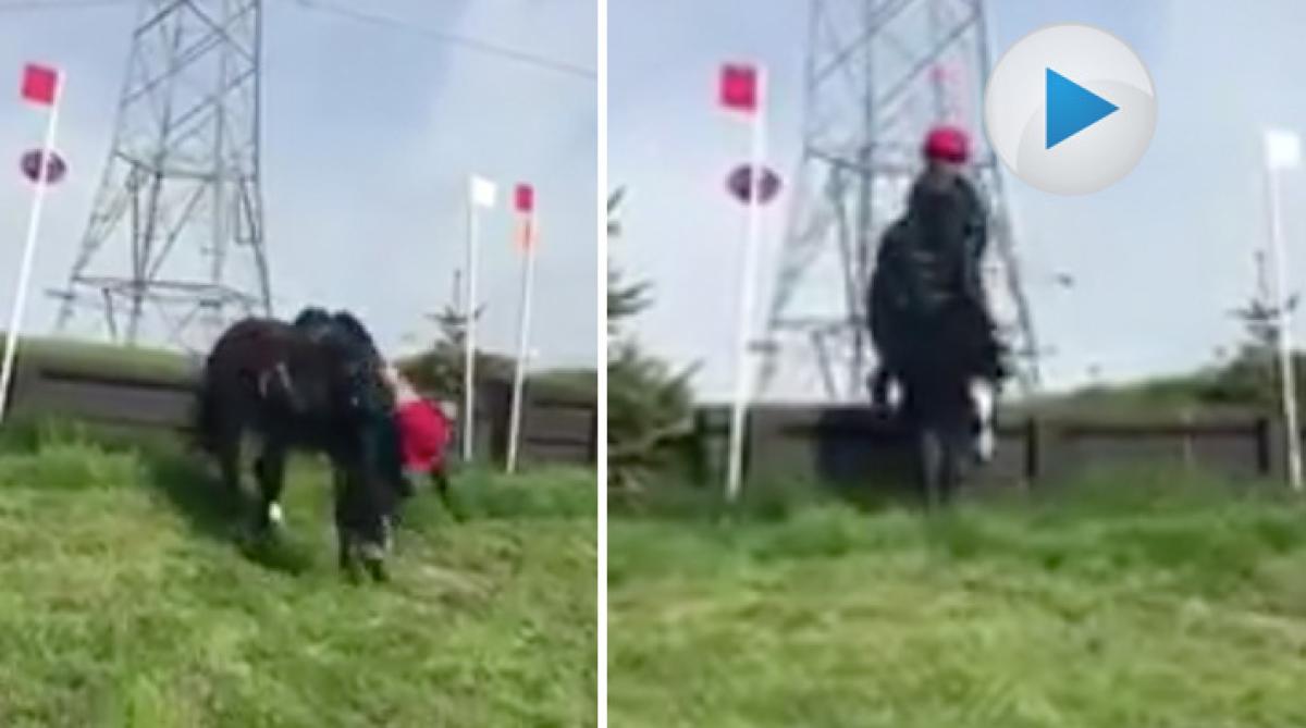 Hungrig terrängponny charmar internet: “Luta dig bakåt”