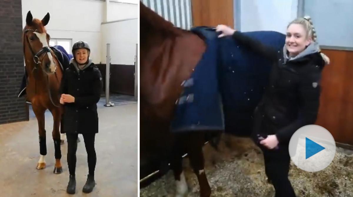 Helgstrand Dressage söker hästskötare – häng med till stallet i deras rekryteringsfilm