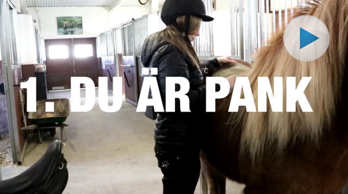 Så vet dina kompisar att du håller på med hästar