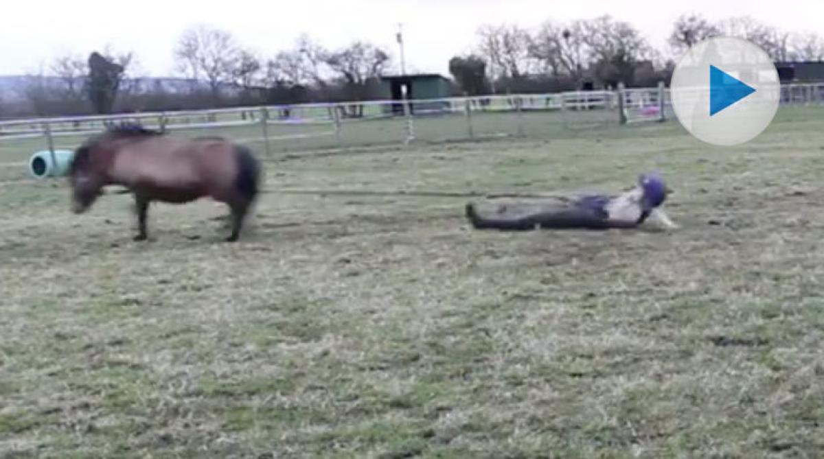När ponnyn får vårfeeling och drar i väg på egen hand