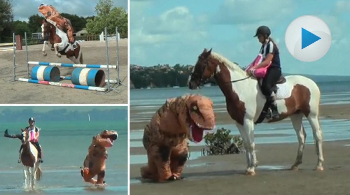 Coola Kevin leker med dinosaurier – och bryr sig inte om tutande lastbilar