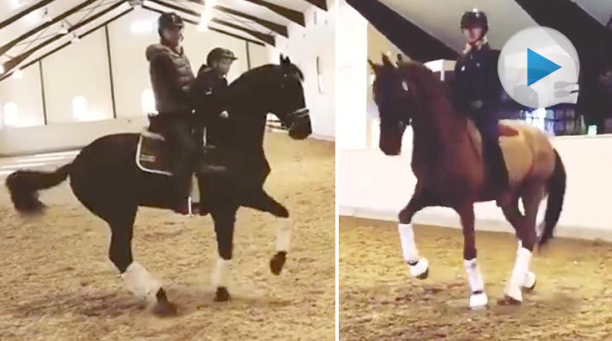 Mads rider piaff barbacka och i grimma – och tar hjälp av sonen Filip med piruetterna