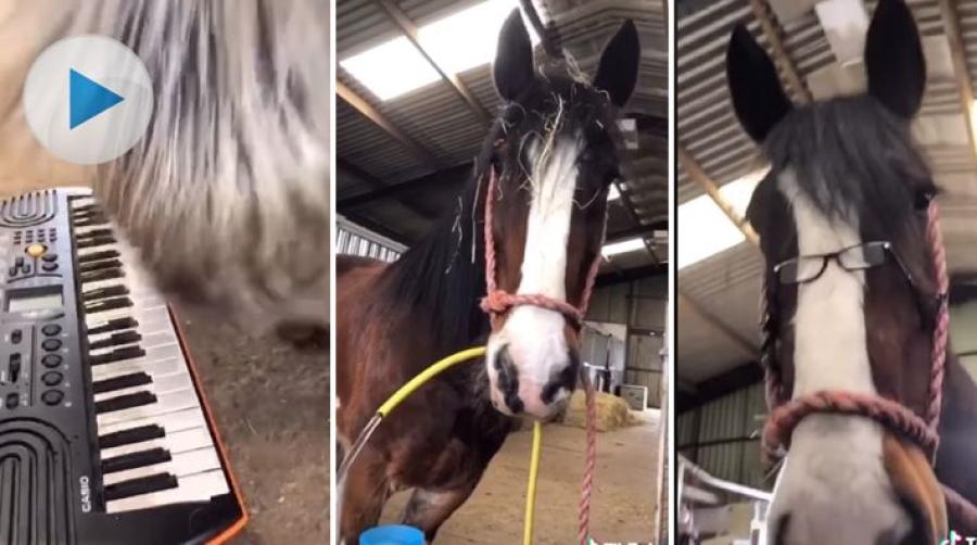 Efter två veckors isolering gör Ruskington's Kenny, i Storbritannien, sitt bästa för att sprida leenden. Med hjälp av sin vän visar han sina talanger.