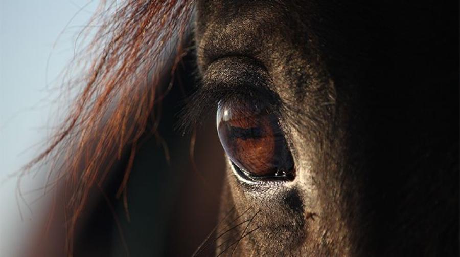 Bilden har inget med händelsen att göra. Arkivfoto: Adobe Stock