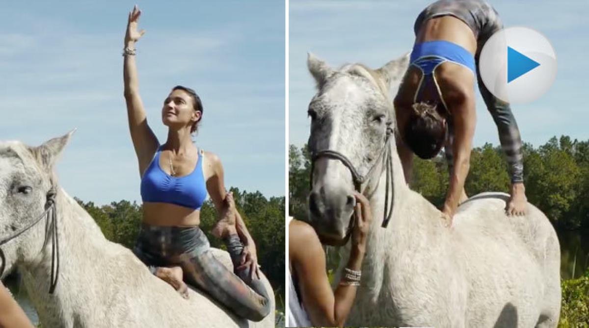 Balans och smidighet kombineras i hästyoga