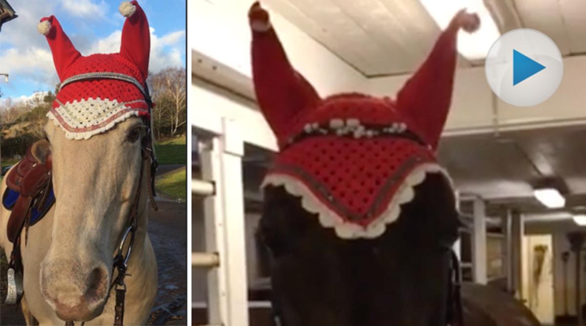 Gabriella virkar julluvor till hästarna i stallet: ”Bara för söta”