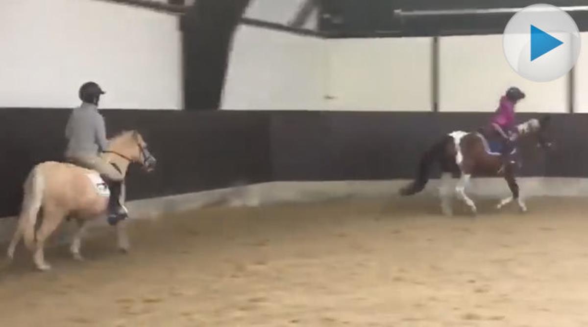 "Super awesome" att trimma dotterns ponny