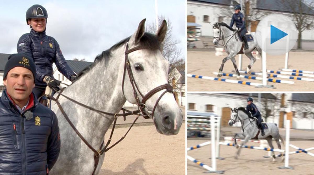 Gymnastisera din häst med enkla bomövningar