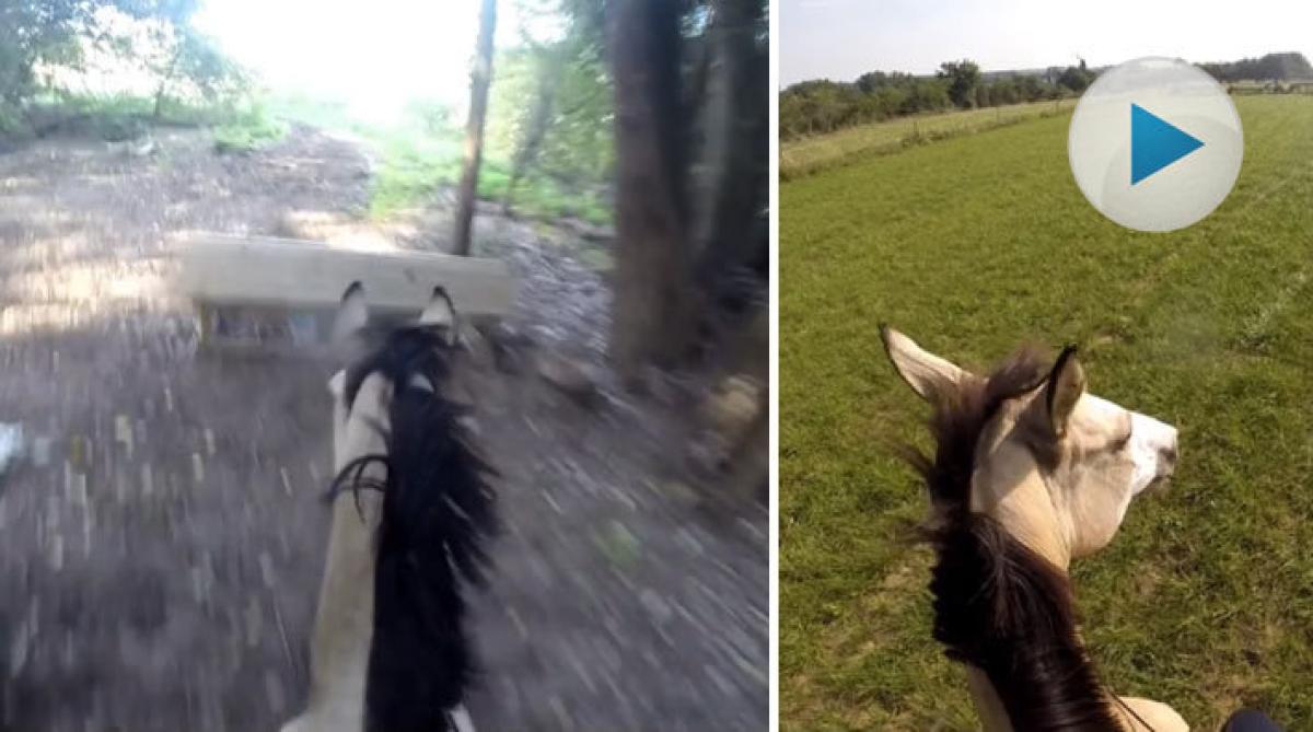 Bettlös terrängritt imponerar