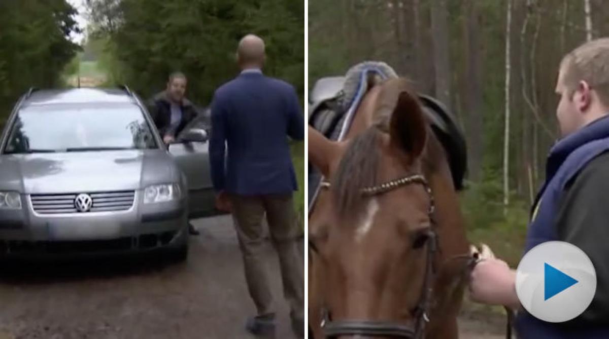 Slänger ut tv-teamet när de vill sälja hästarna