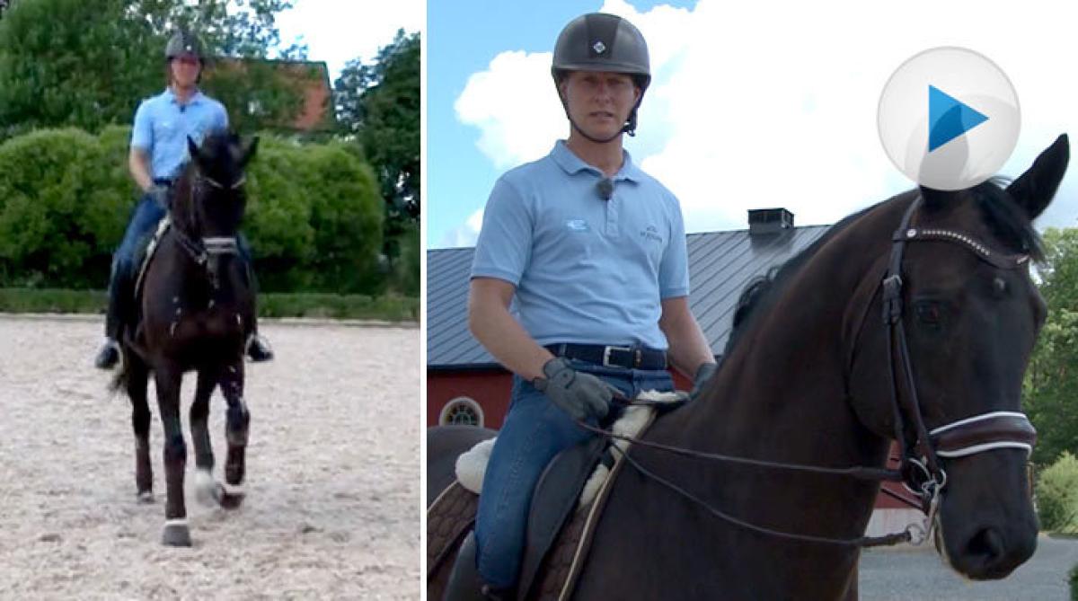 Träna på medellinjen med Mads Hendeliowitz