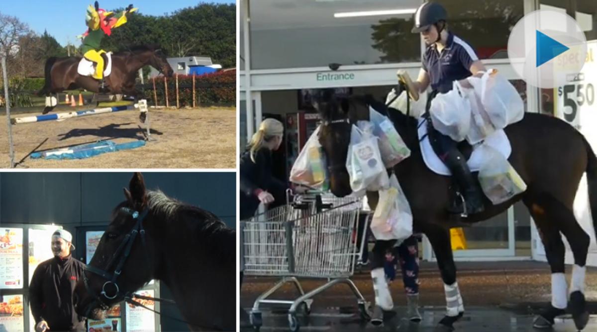 Trygga Pumba fortfarande till salu – hjälper även till med storhandlingen
