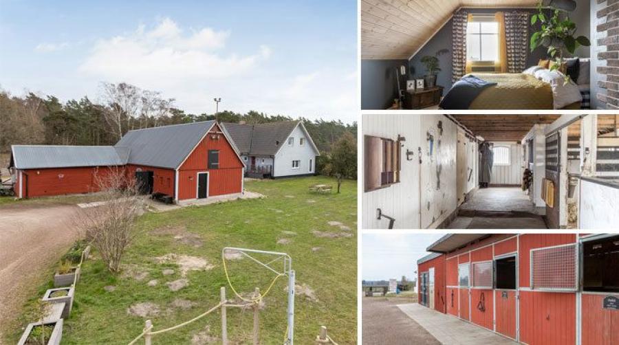 Välskött hästgård med ridavstånd till stranden