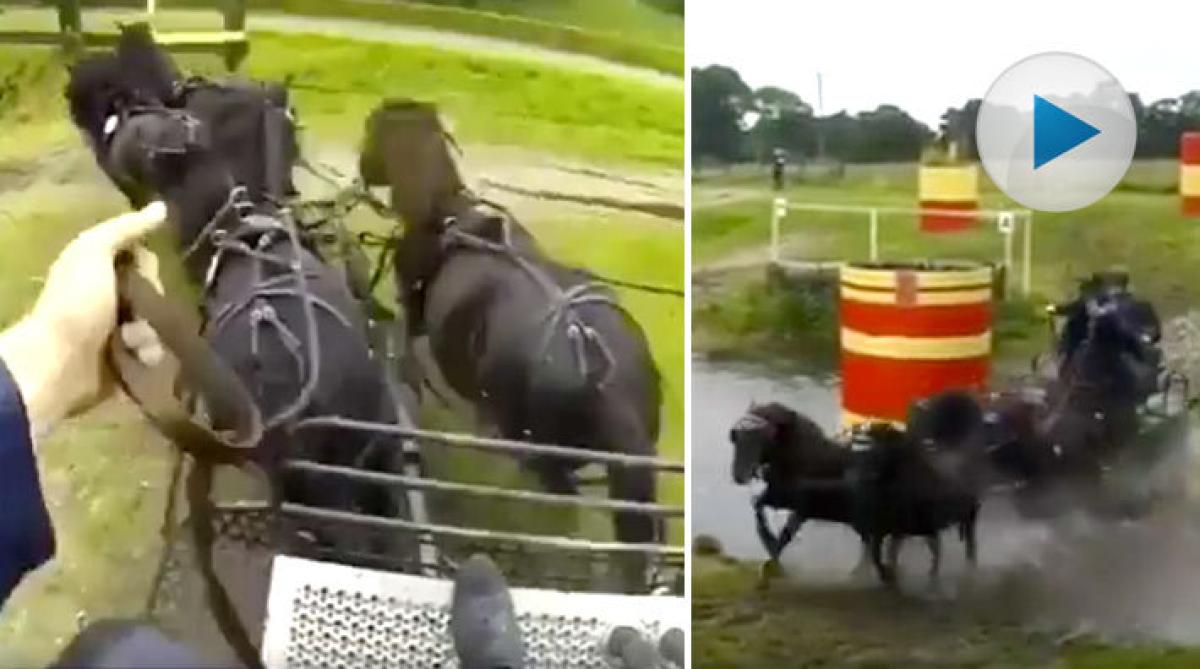 Shettisar = sporthästar: Häng med efter Ponnyexpressen