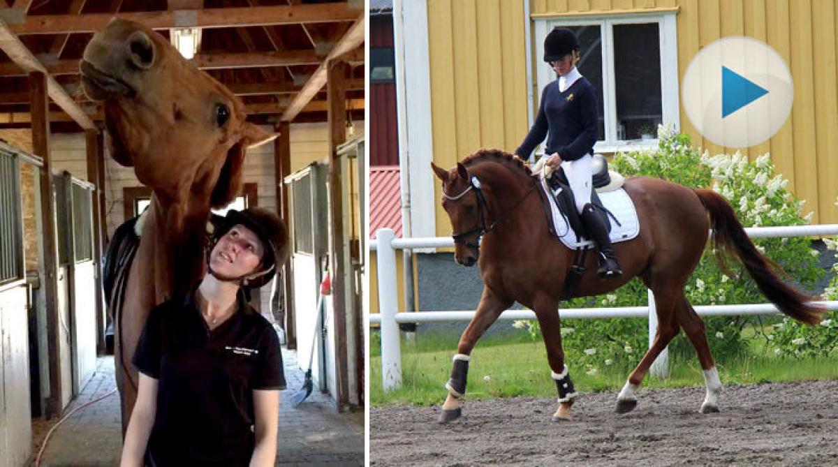 Nej tack till träns – Fannys charmiga Marty vill mysa först!