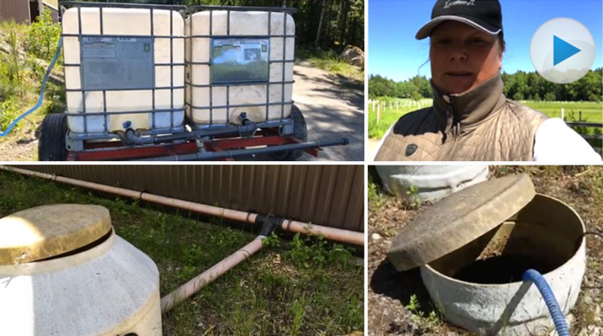 Tips: Så vattnar du ridhuset med regnvatten