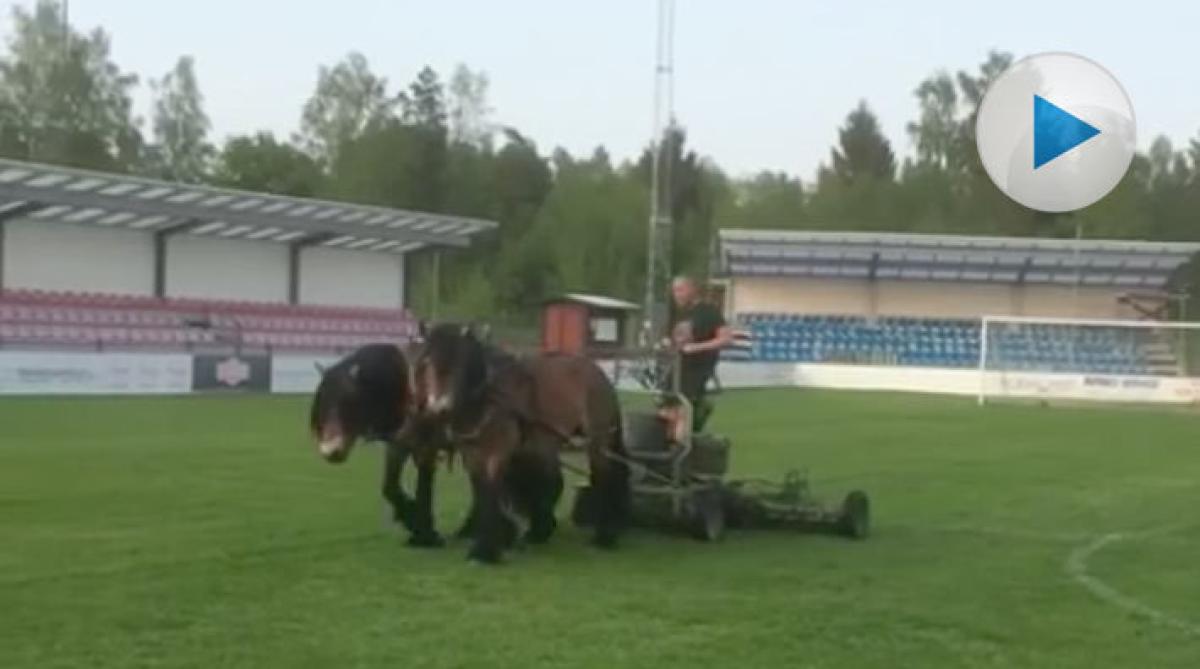 Sigvard fick rycka ut med riktiga hästkrafter